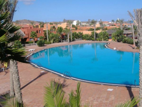 TAM35OASIS
